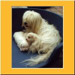 0003-Wochen_WurfkisteMutter.html