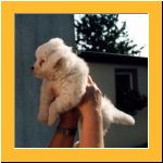 0006-Wochen_Hochgehoben.html