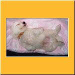 0008-Wochen_Schlaeft.html