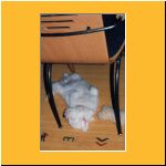 0010-Wochen_Schlaeft2.html