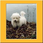 0010-Wochen_Unterwegs1.html