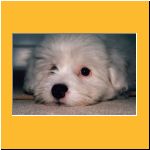 0011-Wochen_Portrait1.html