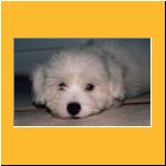 0011-Wochen_Portrait2.html