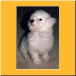 0011-Wochen_Portrait3.html