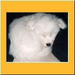 0011-Wochen_Schlaeft.html