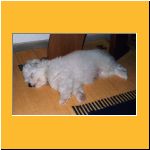 0012-Wochen_Schlaeft1.html