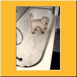 0014-Wochen_Baden.html