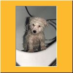 0014-Wochen_Gebaden1.html