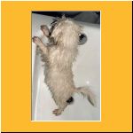 0014-Wochen_Gebaden2.html