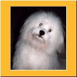 2001-Herbst_Portrait.html