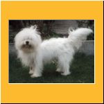 2001-Sommer_Garten1.html