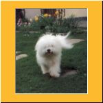 2001-Sommer_Garten2.html