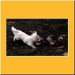 2001-Sommer_UrlaubBenji1.html