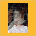 0020-Wochen_Bett.html