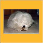 0030-Wochen_Knochen.html