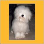 0030-Wochen_Portrait.html