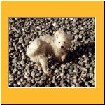 2001-Sommer_UrlaubStrand.html