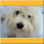 2003-Sommer_Closeup.html