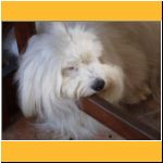 2003-Sommer_UrlaubMittagsschlaf.html